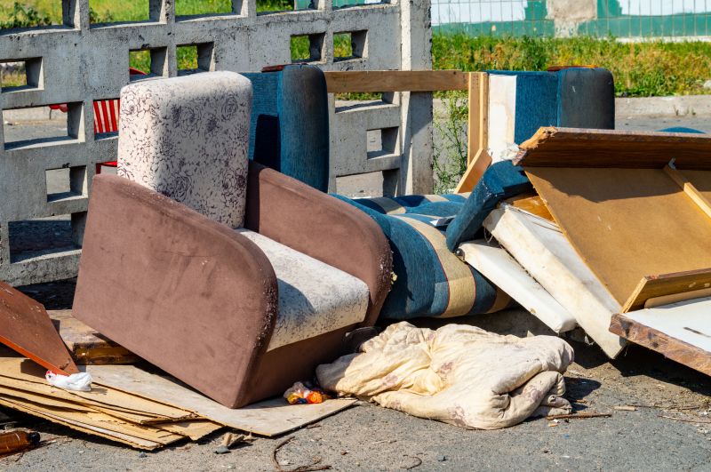 Sofa Bed Removal in Madison, WI